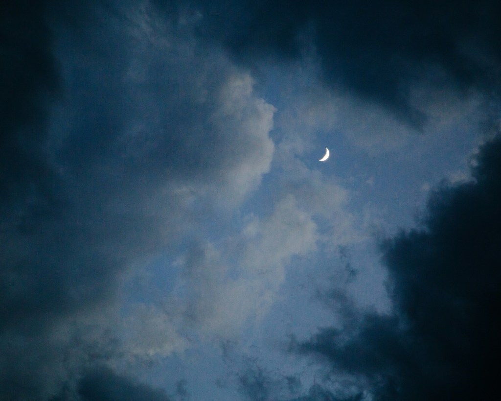 Photo by Ciocan Ciprian on Unsplash