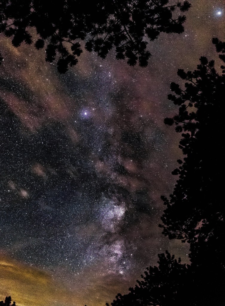 Stars above the shadow of a tree. Photo by Jeremy Thomas on Unsplash